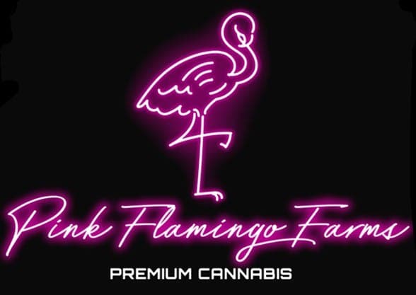 Pink Flamingo Farms
