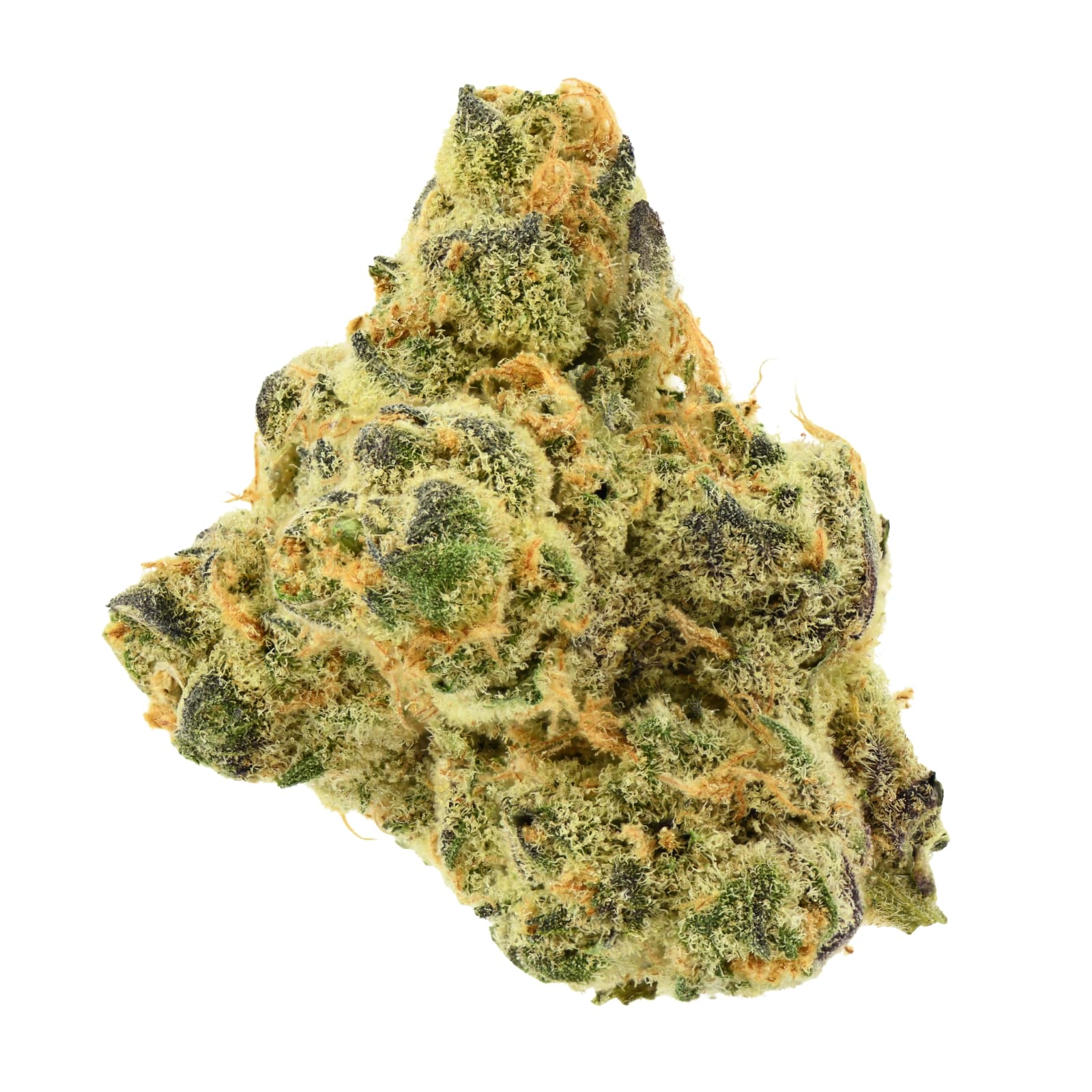 Splifs Flower | Rizz
