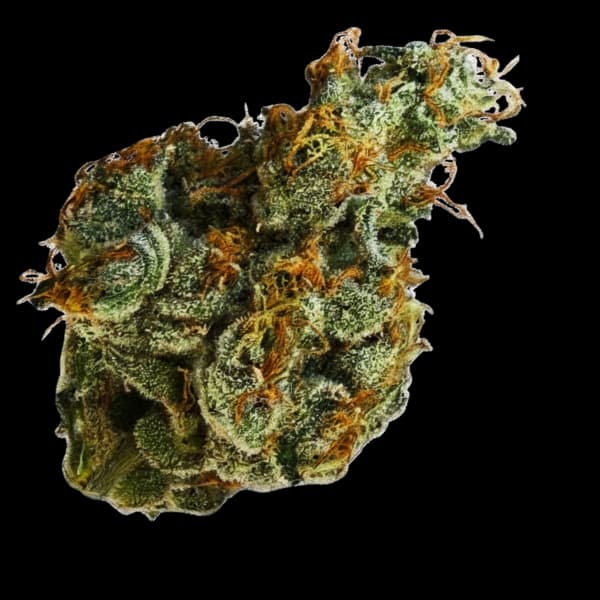 VORTEX Mule Fuel Premium Flower
