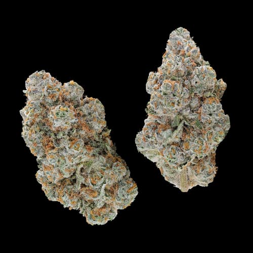 Your Highness Your Highness Grape Gas 3.5g Prepack