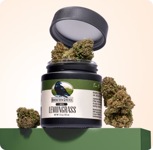 Ravens View Genetics Lemongrass