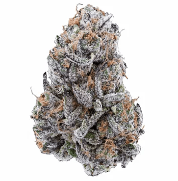 Dog Star Canal St. Runtz 7g Premium Dried Flower