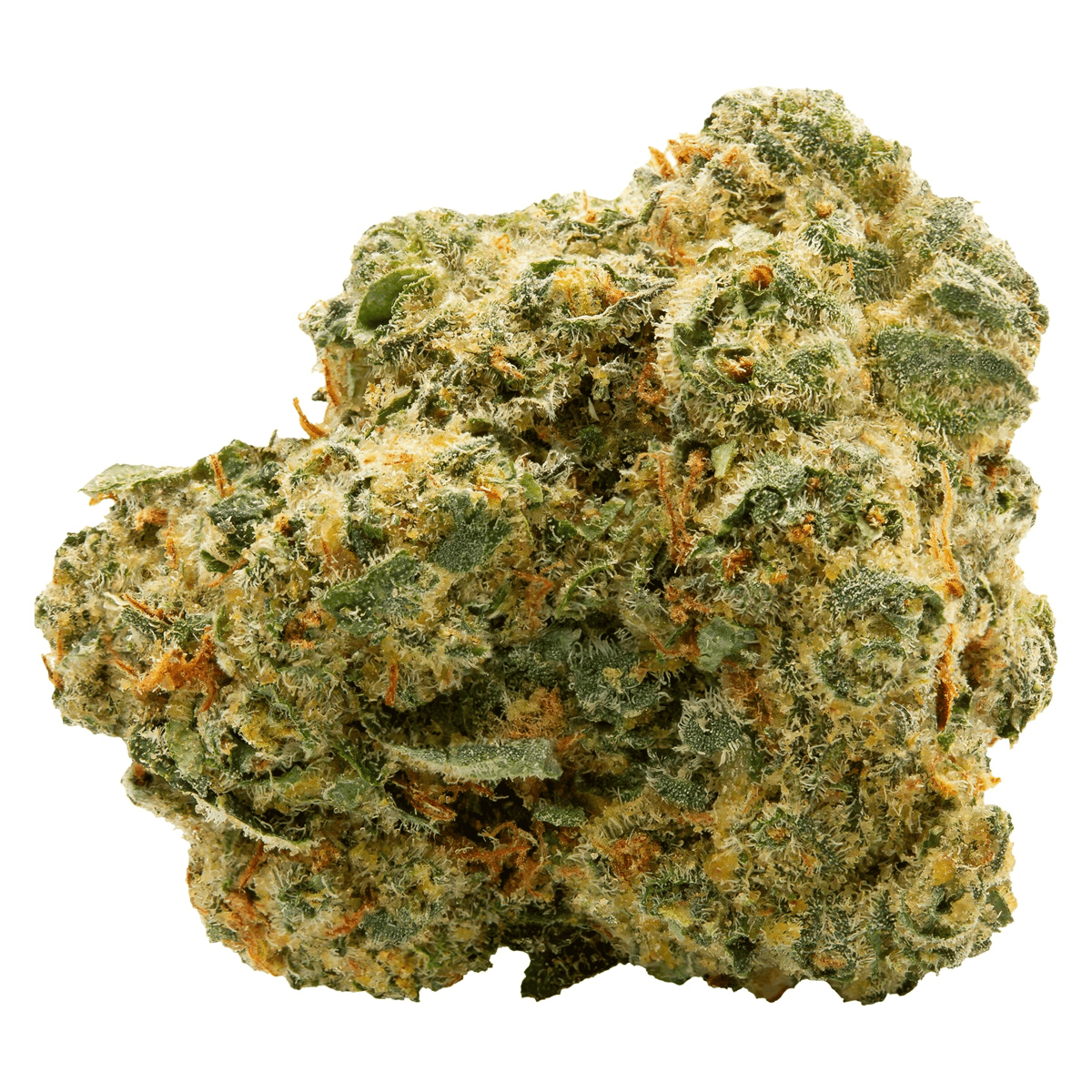 Spinach