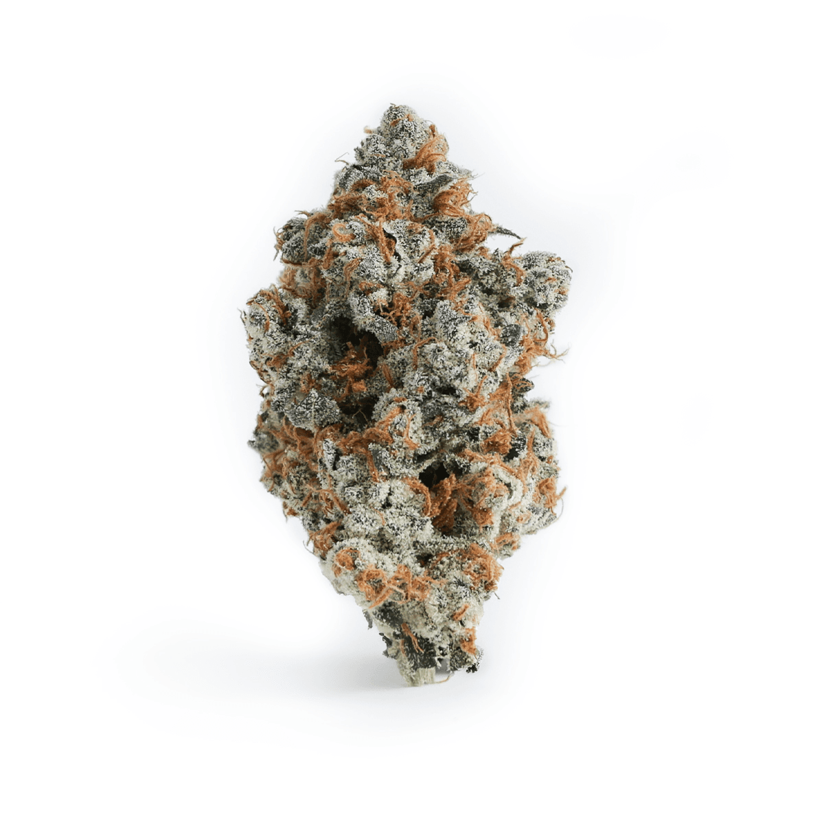 High Goat Choice Creamsicle