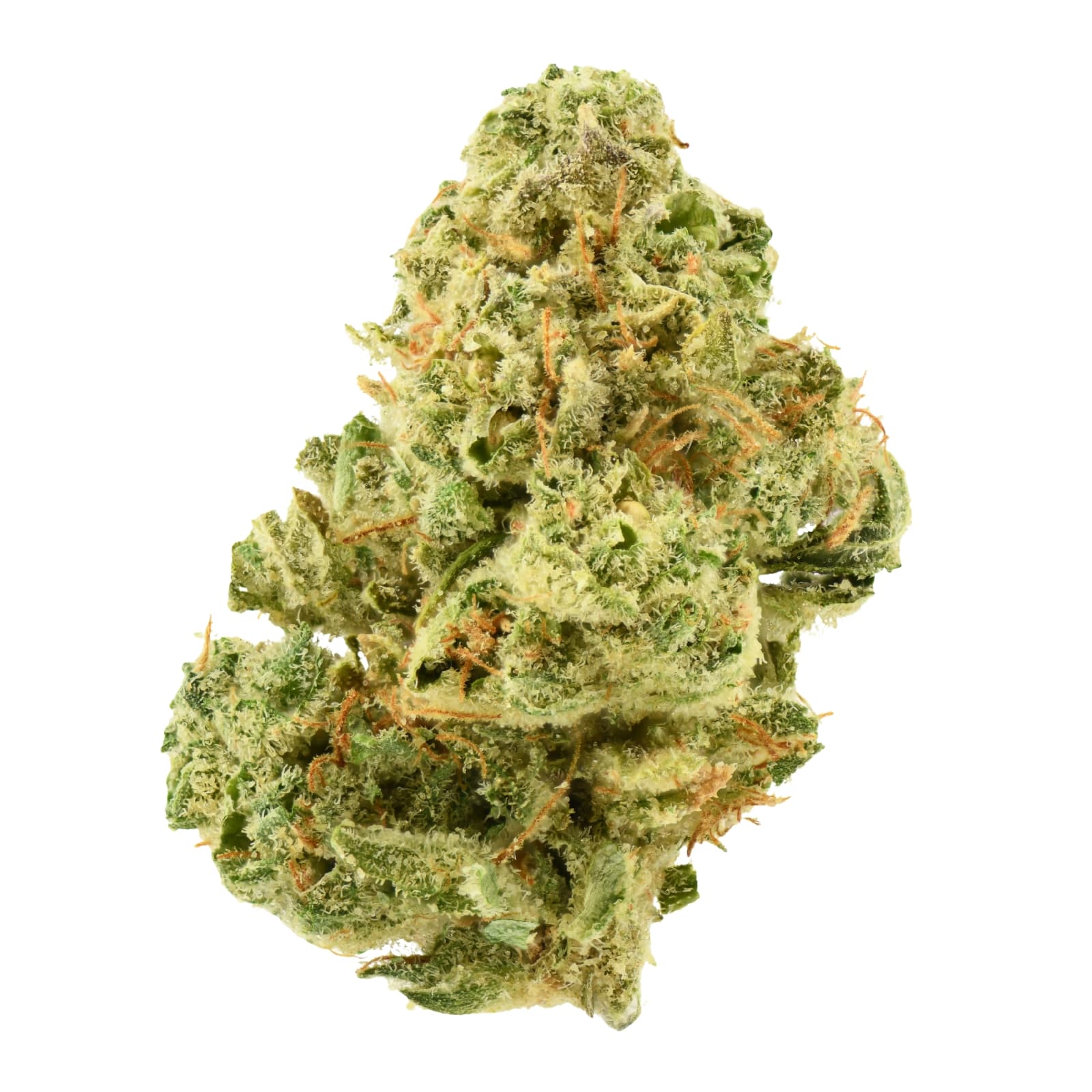 Releaf Flower - Rainbow Papaya