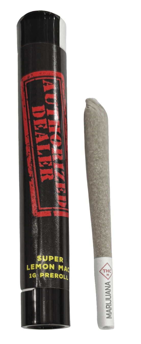 AUTHROIZED DEALERS CHOCOLATTO I AUTHORIZED DEALER PRE-ROLL - 1 G - 2 PACK