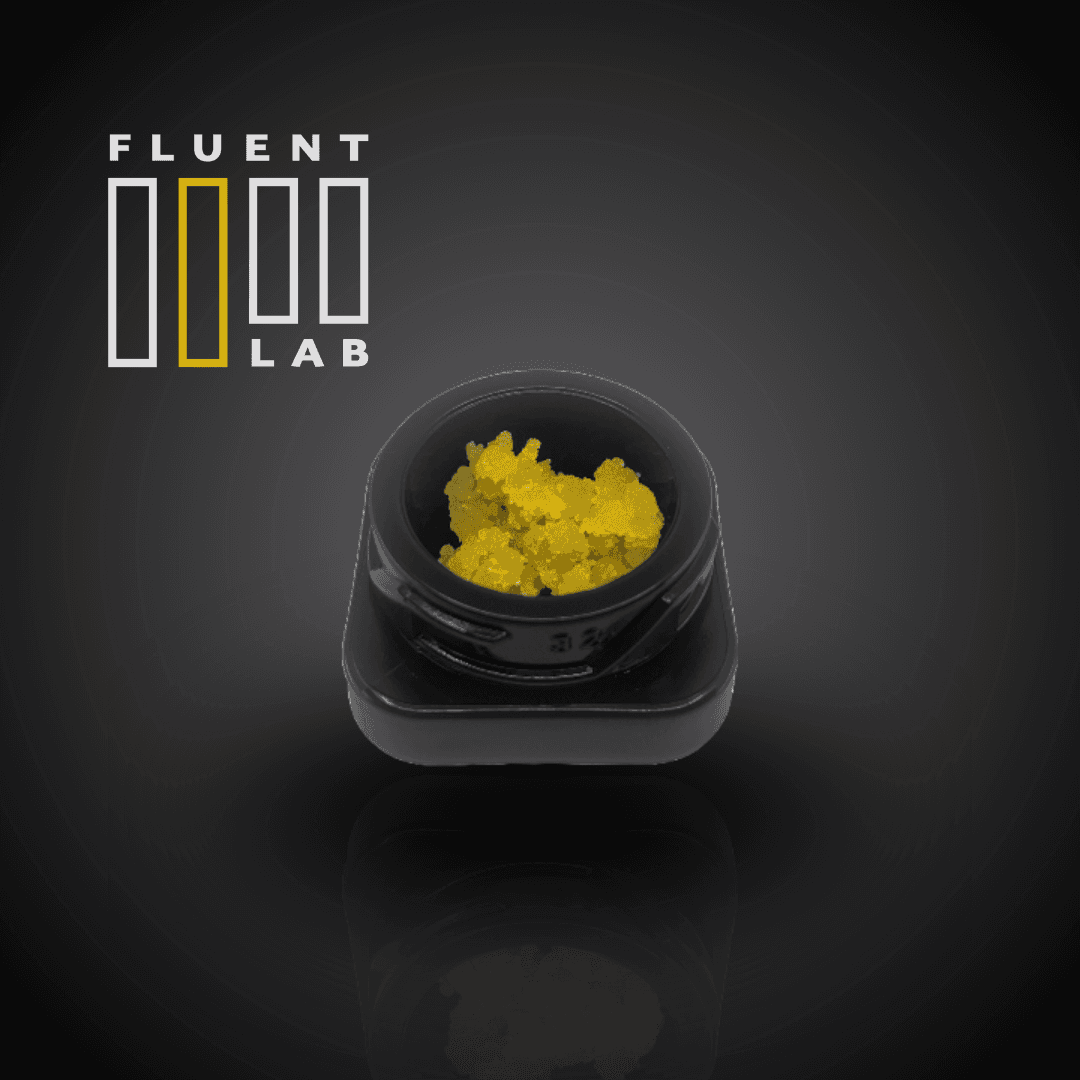 FLUENT Labs