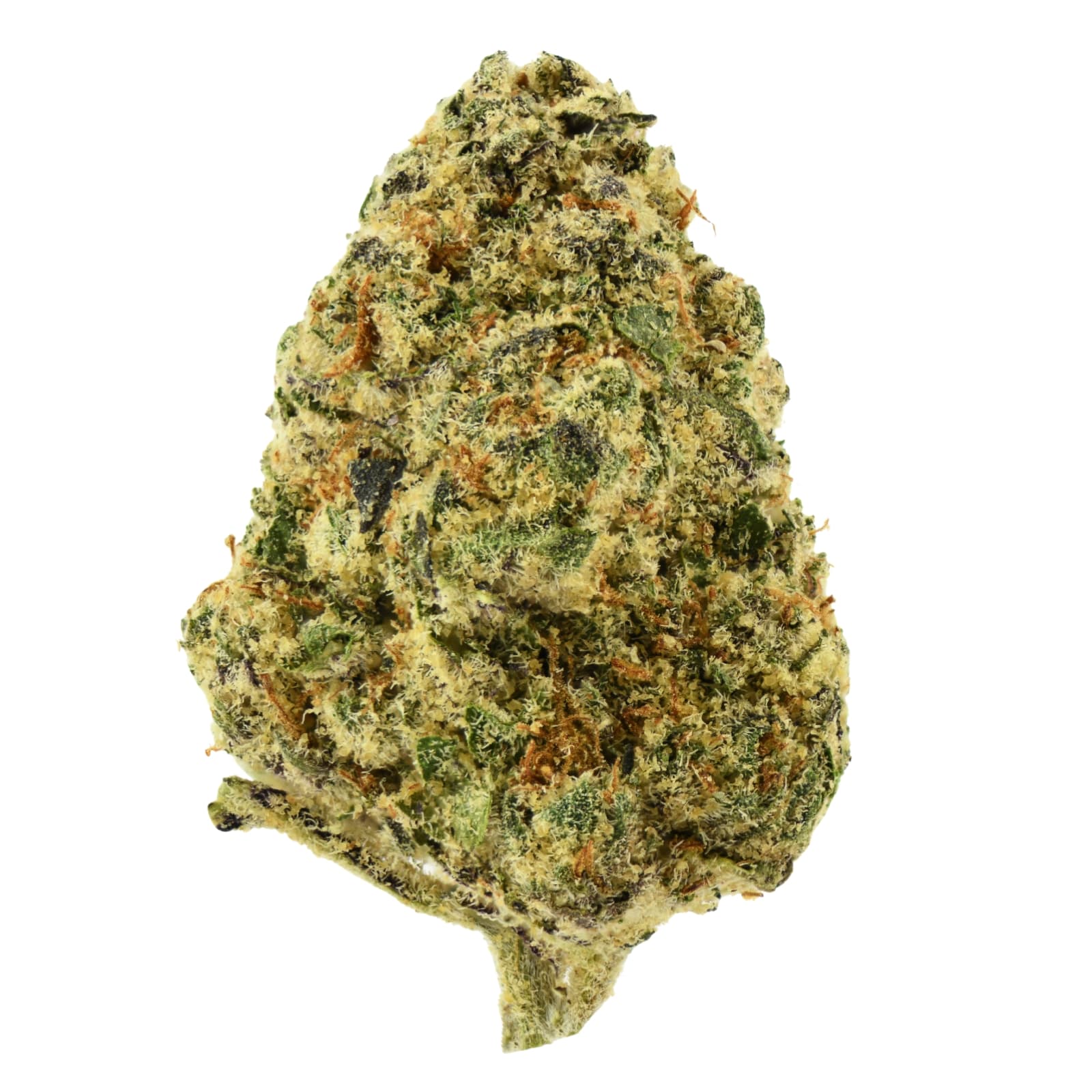 EH Flower Devil's Cherry