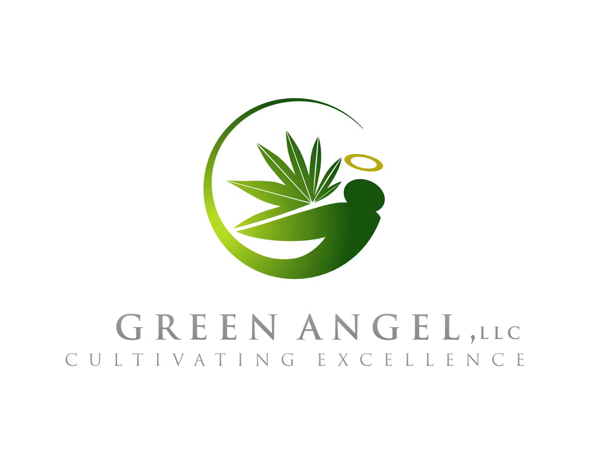 Green Angel Chocolate Oranges - - Live Rosin