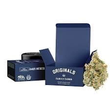 The Originals Ghost OG | 3.5g Flower