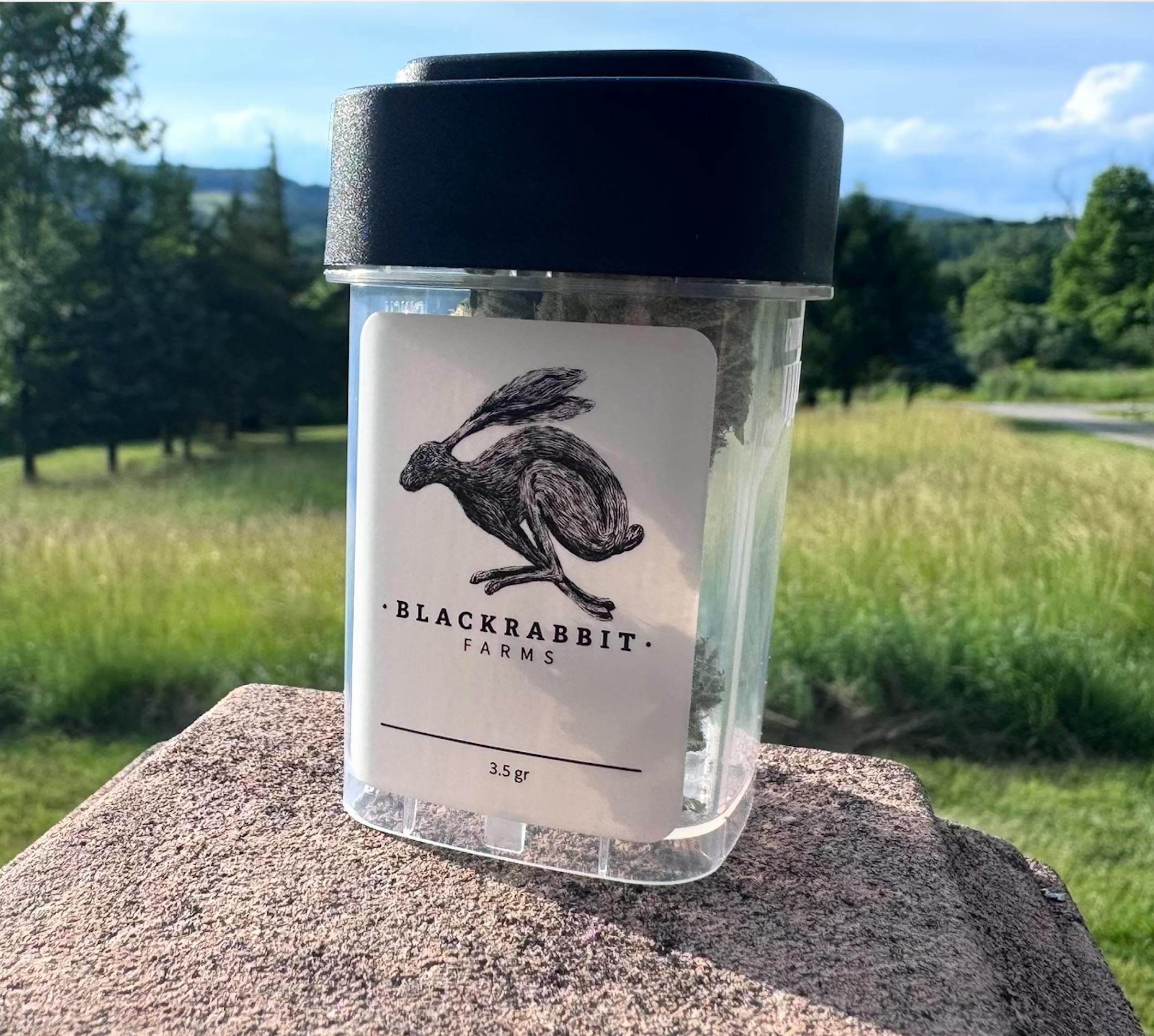 Black Rabbit Farms