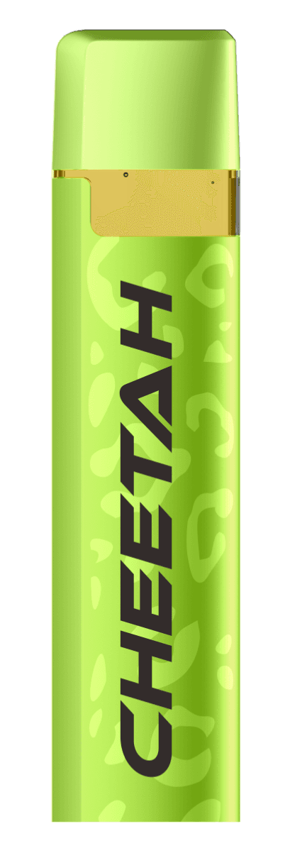 Cheetah