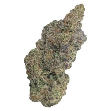 Natural History Limited Reserve Indica - Natural History - Dried Flower