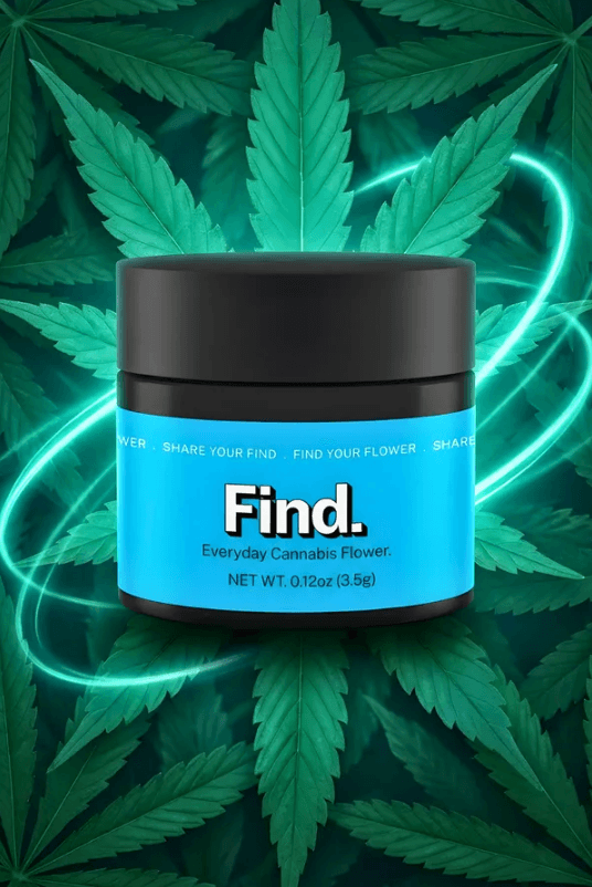 Find. Gas Lit