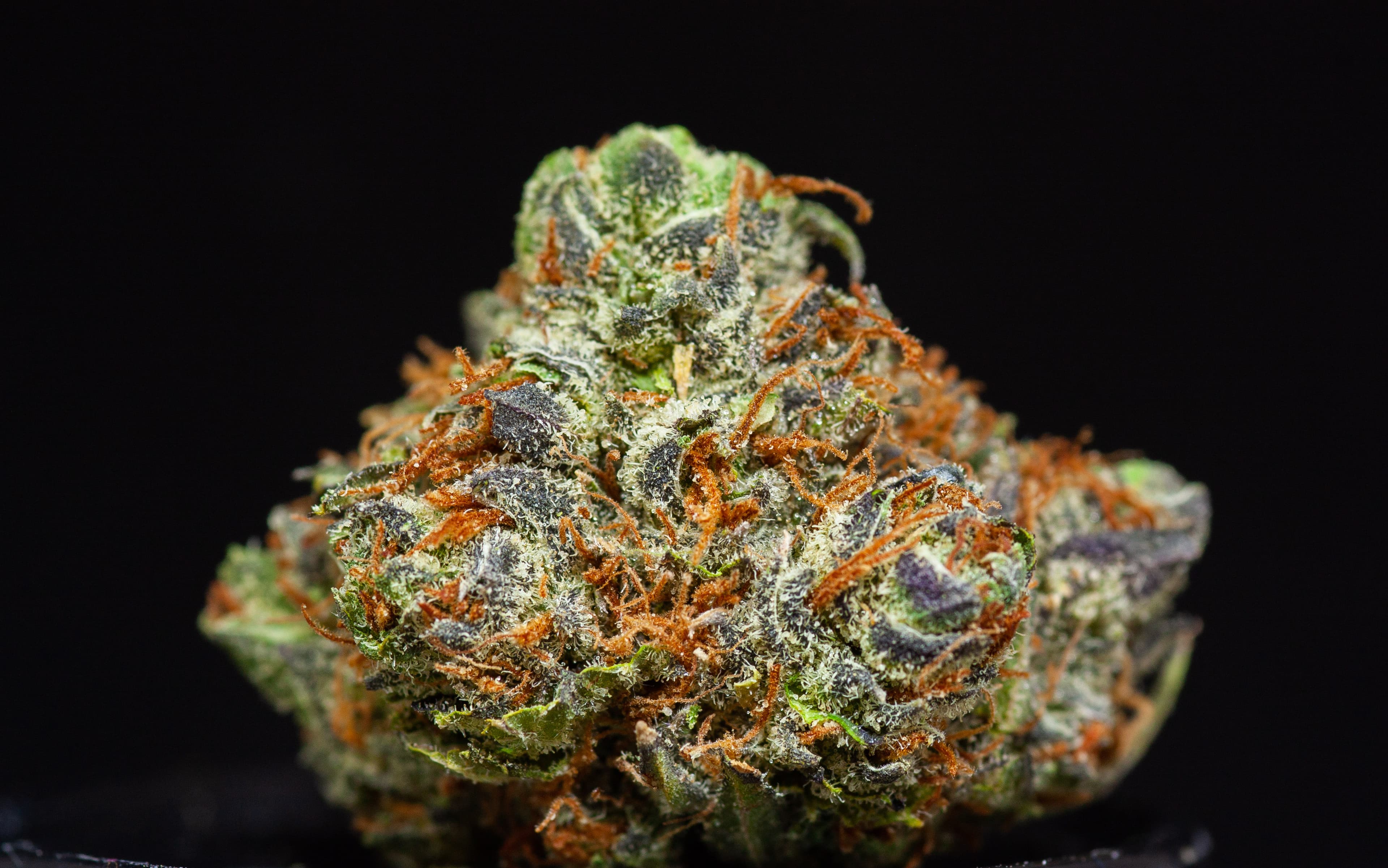 Silver Shelf Double G (H)