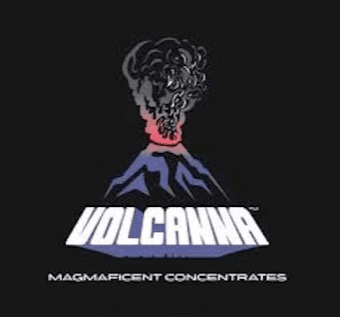 Volcanna Ginger Tea | Sauce | 4g