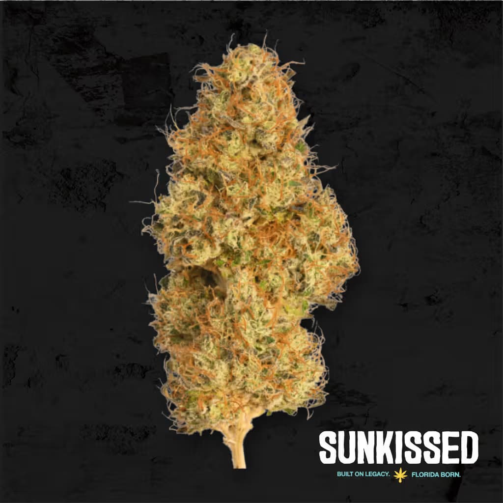 Sunkissed Flower