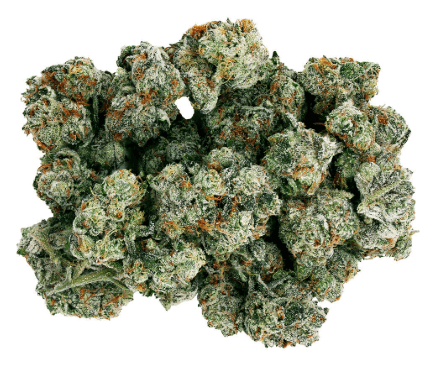 Starting Point Starting Point Frenchy Macaroni 14g