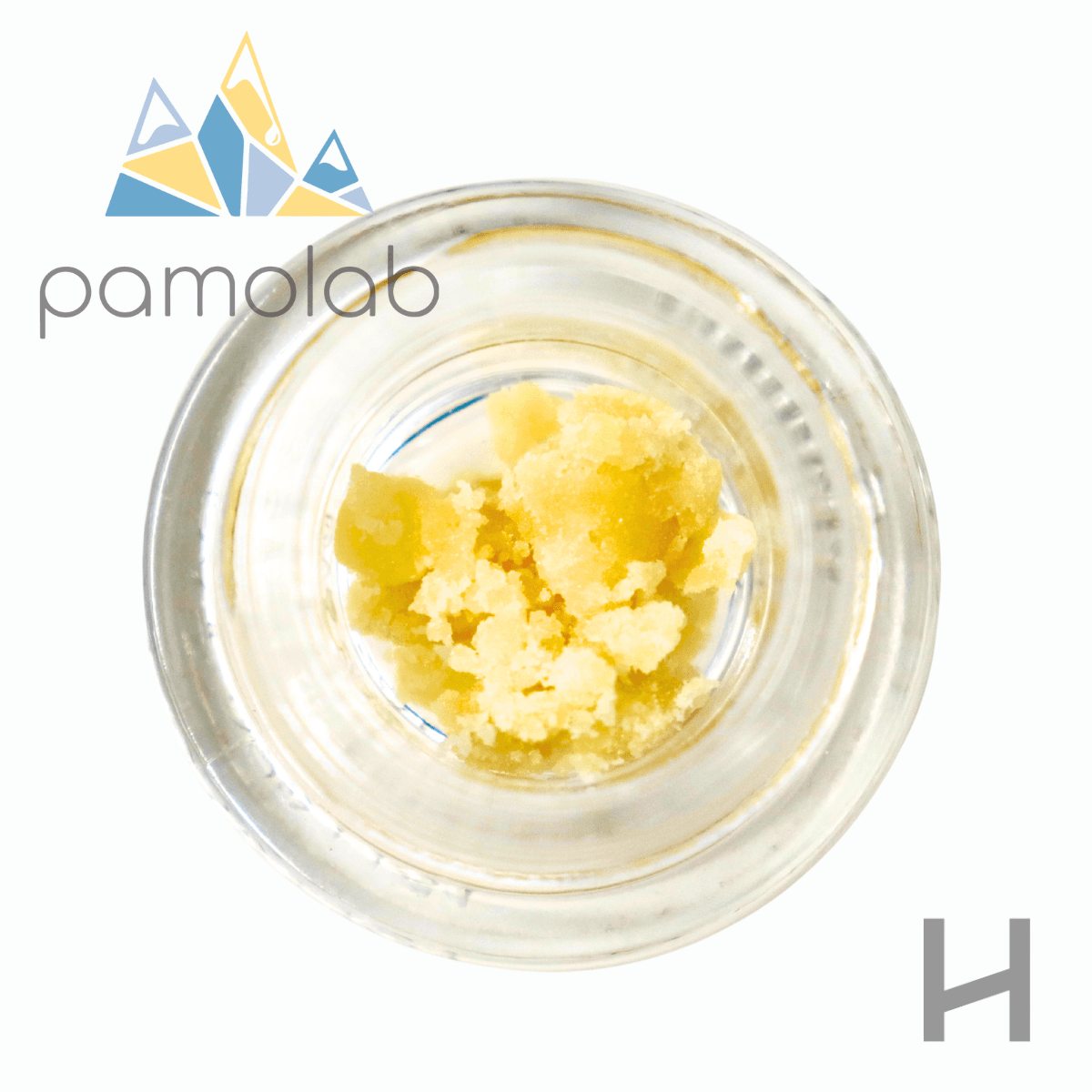 Pamolab Chocolope Brunch | Cured Resin