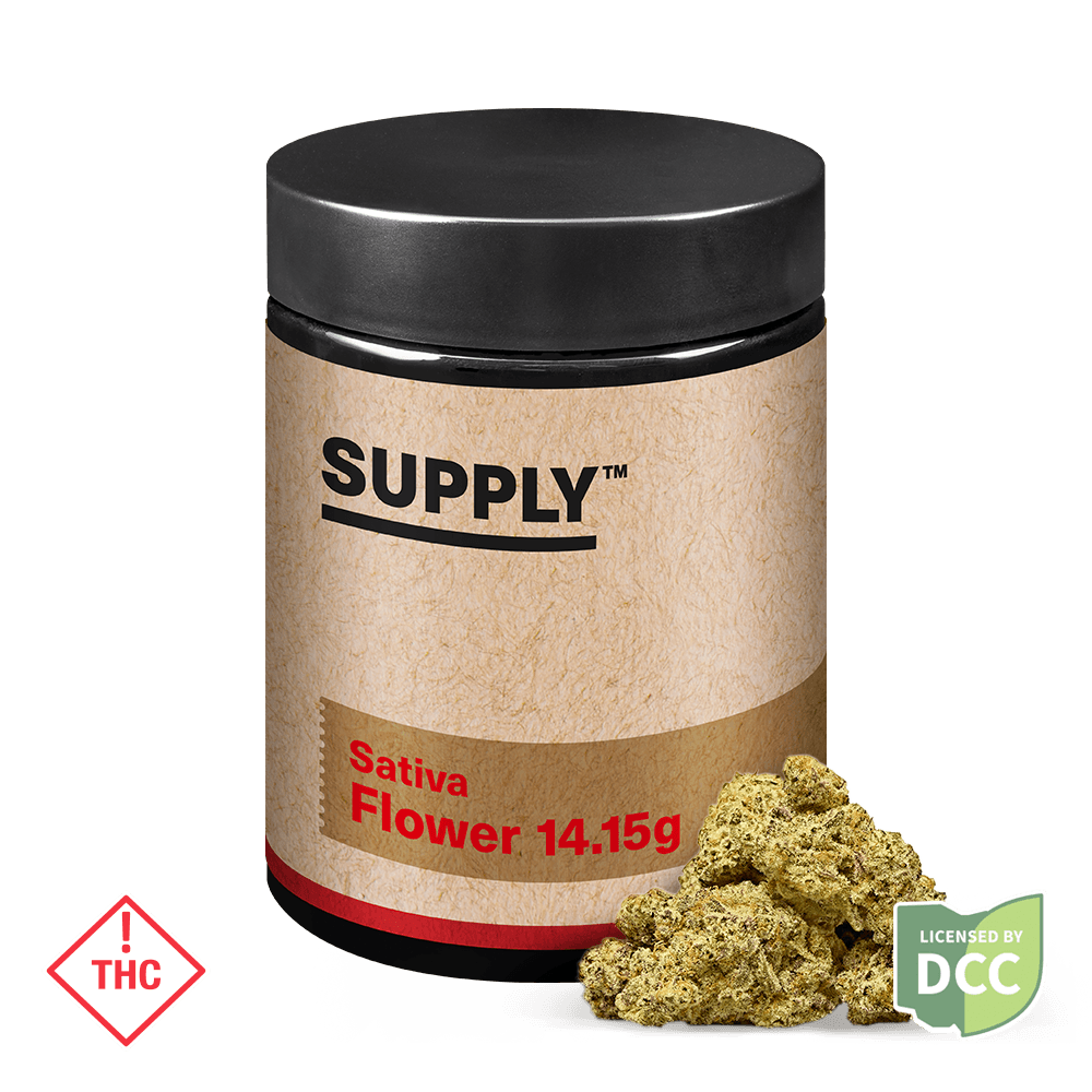 Supply™ Mango Mintality Flower