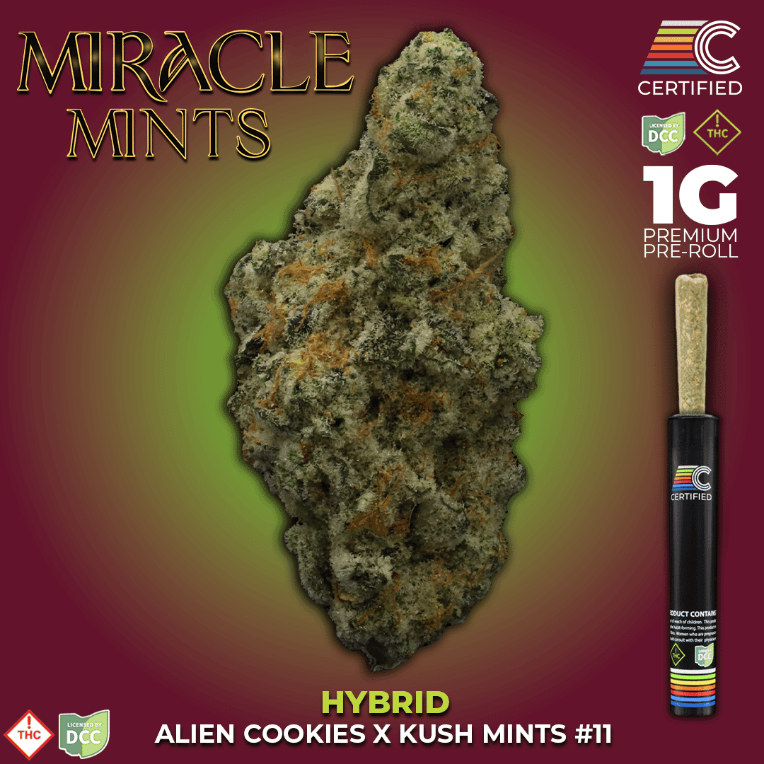 CERTIFIED CULTIVATORS - MIRACLE MINTS - BROWN CONE PREROLL - [1G] - HYBRID