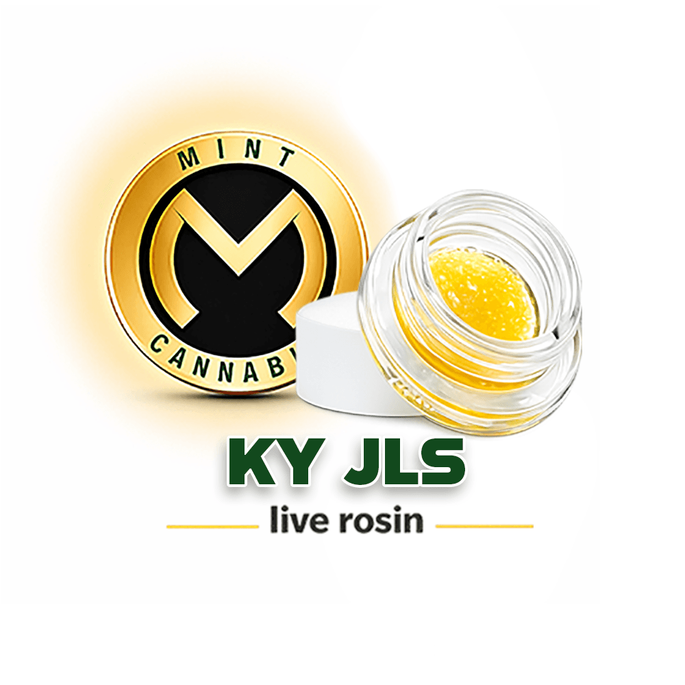 Mint Cannabis Mint Platinum Live Rosin Sauce - KY JLS