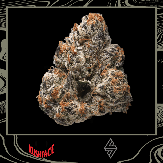 Kushface BALUCHI INDOOR FLOWER - 3.5 G