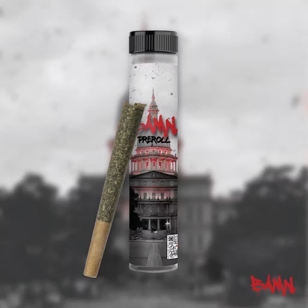 BAMN Pop Roxx