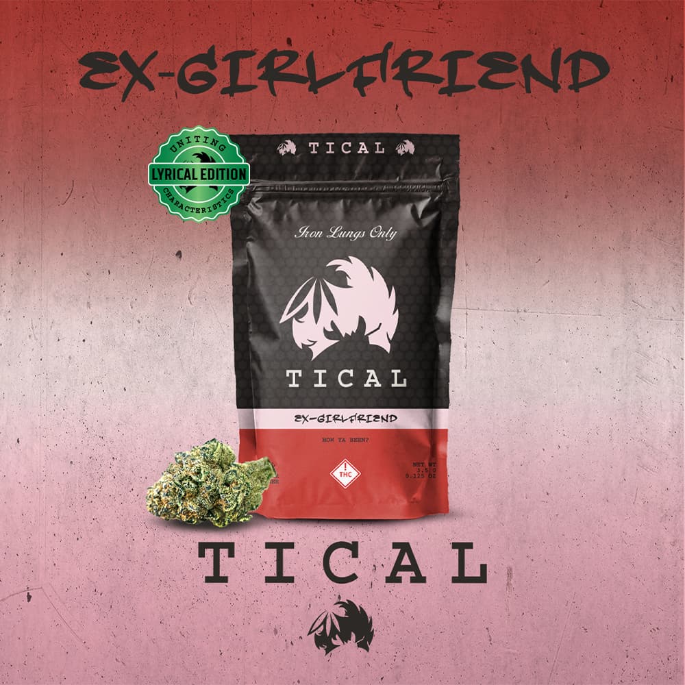 TICAL Ex-Girlfriend