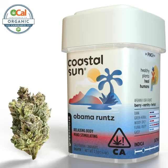 Coastal Sun Obama Runtz | 3.5g