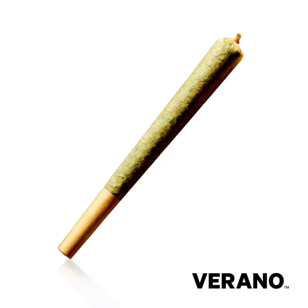 Verano Gastro Pop
