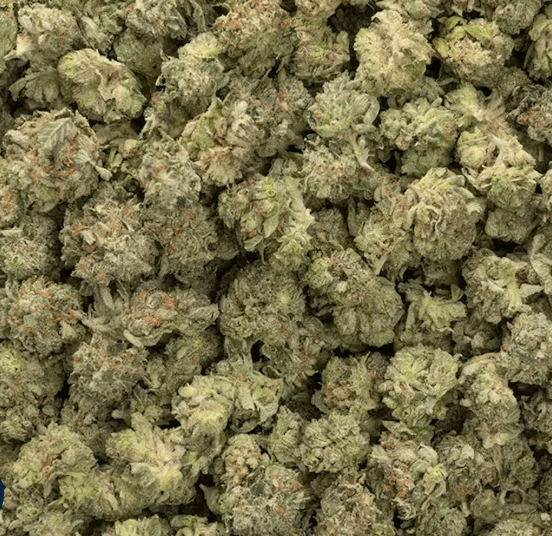 Canna Stix A1 STANK SAUCE - POPCORN - 14 G