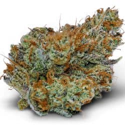 SOLACE GROWN DULCE DE UVA - POPCORN - 14 G