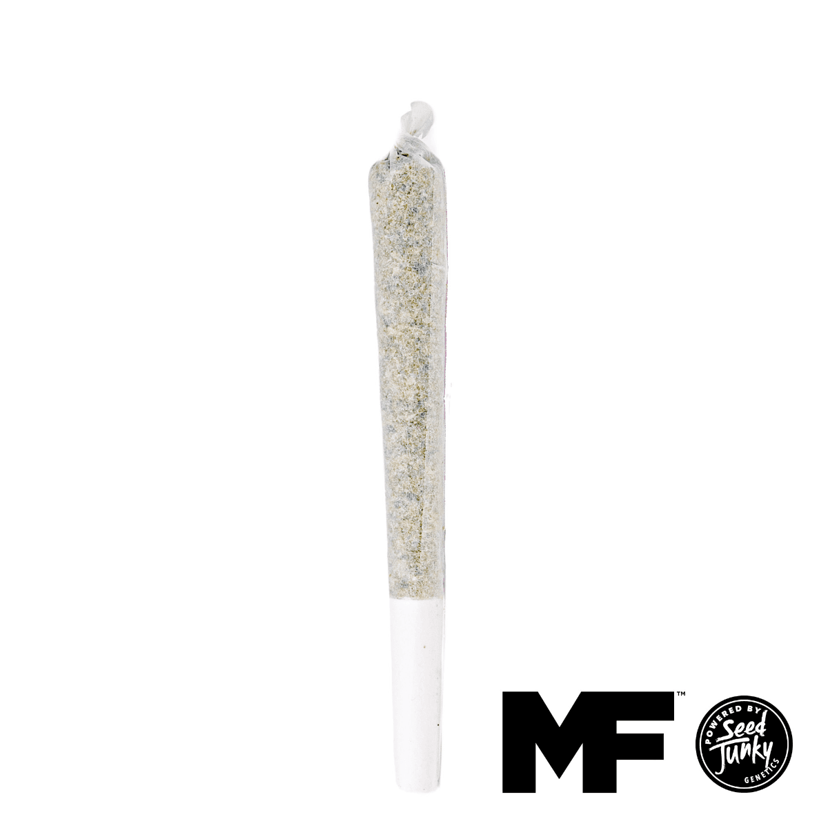Modern Flower x Seed Junky