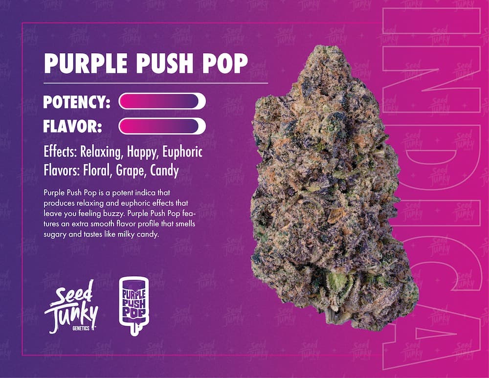 Seed Junky Purple Pushpop Pre-Pack