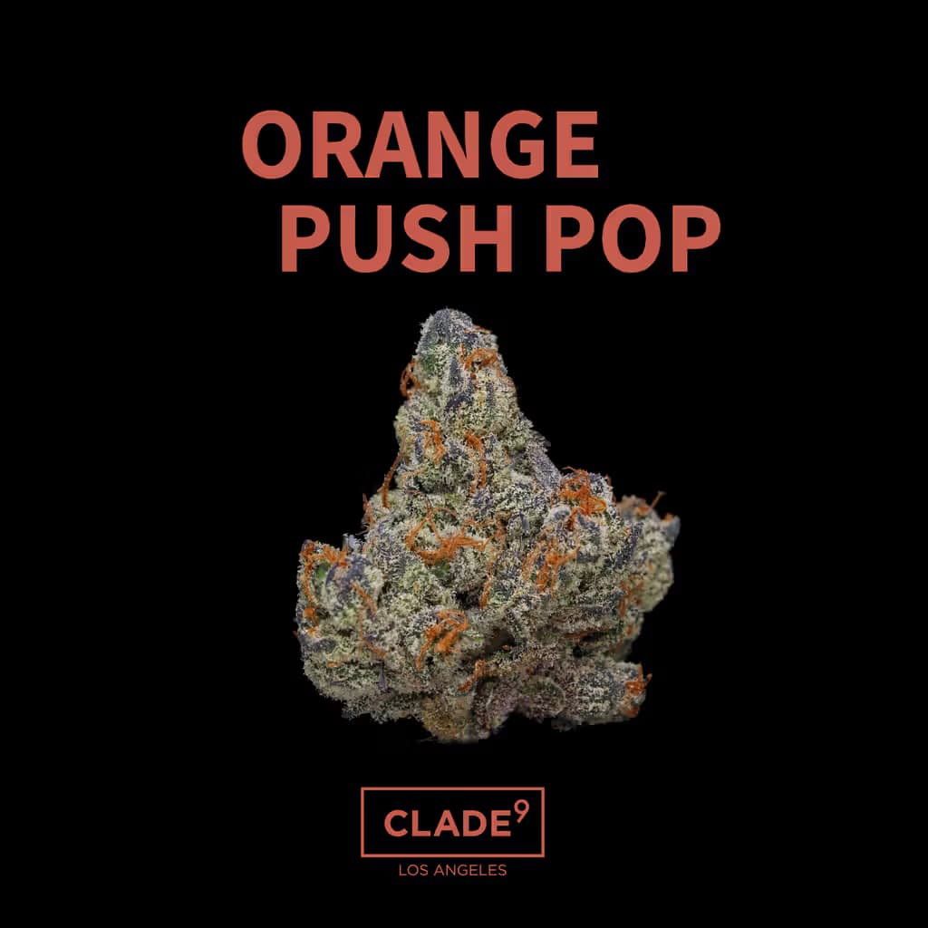 Clade9 Orange Push Pop