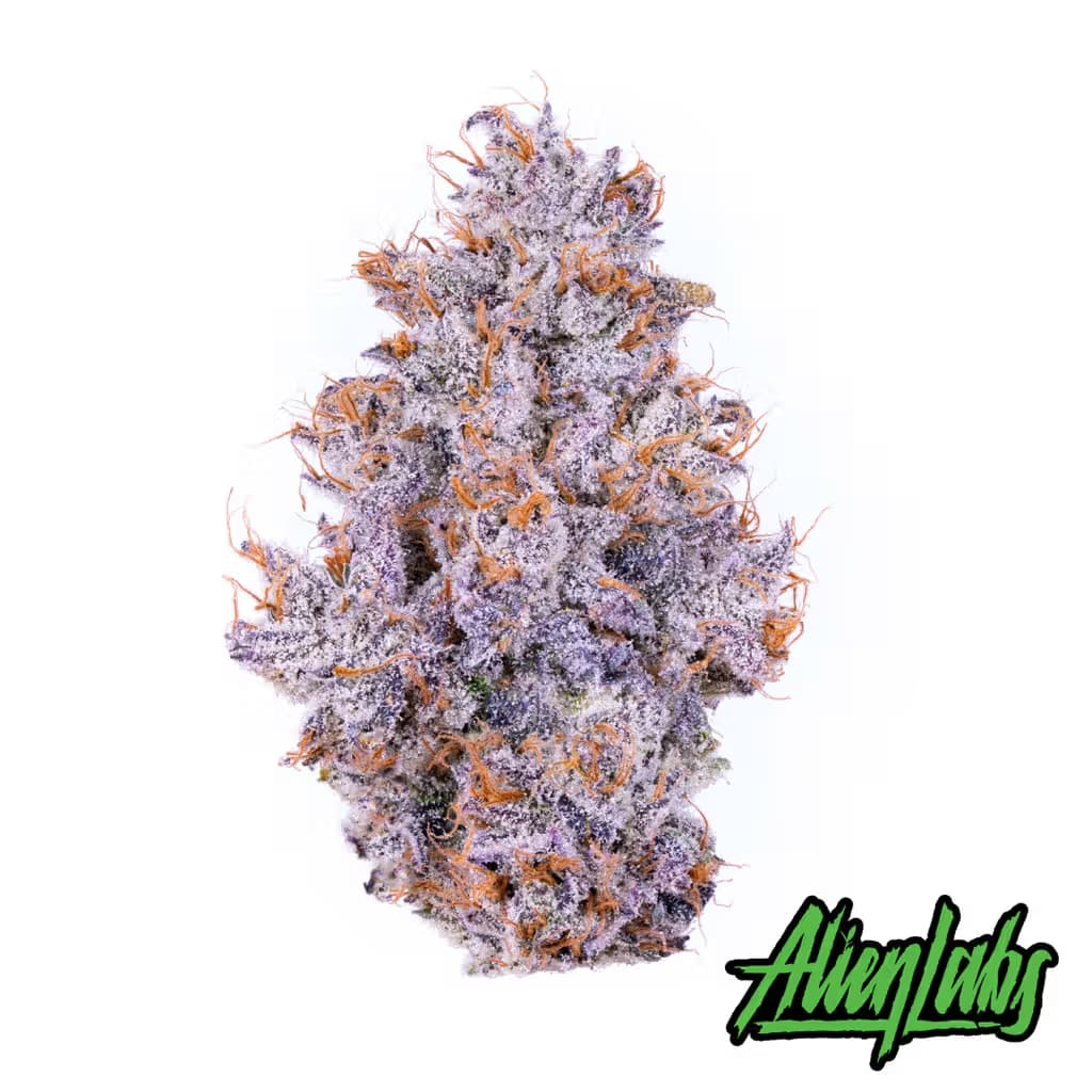 Alien Labs