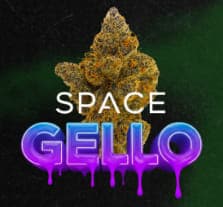 Herba Farms Space Gello - 3 x 0.5g