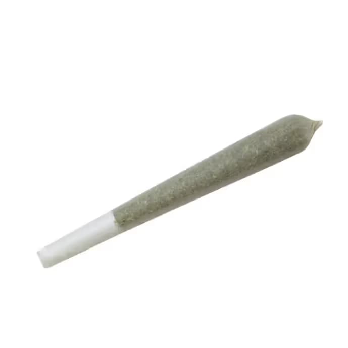 The Joint Company