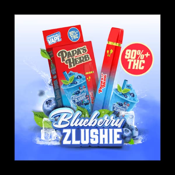 PAPA'S HERB BLUEBERRY ZLUSHIE 1G ALL IN ONE