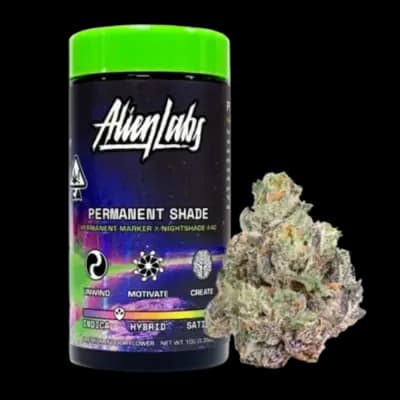 Alien Labs PERMANENT SHADE 10G