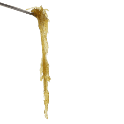 Earthwolf Farms Full Melt Hash (Northern Apple Jaxx) | 1g