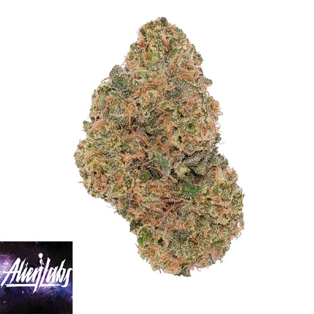 Alien Labs BK SATELLITE 3.5G