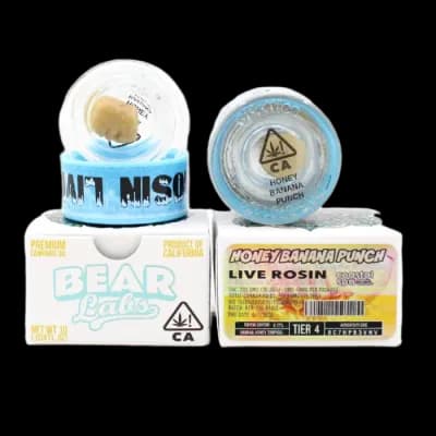 Bear Labs Honey Banana Punch Rosin (Tier 4) 1G
