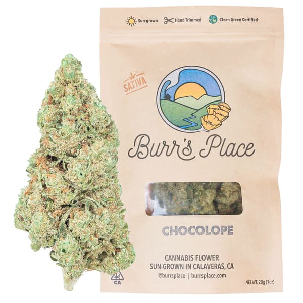 Burr's Place
