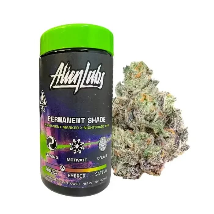Alien Labs PERMANENT SHADE 10G