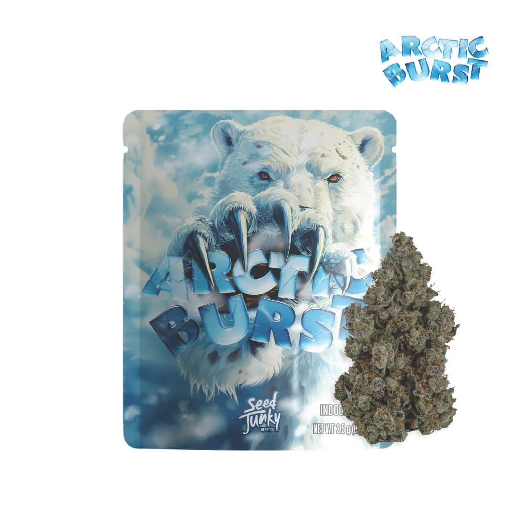 SEED JUNKY GENETICS Arctic Burst