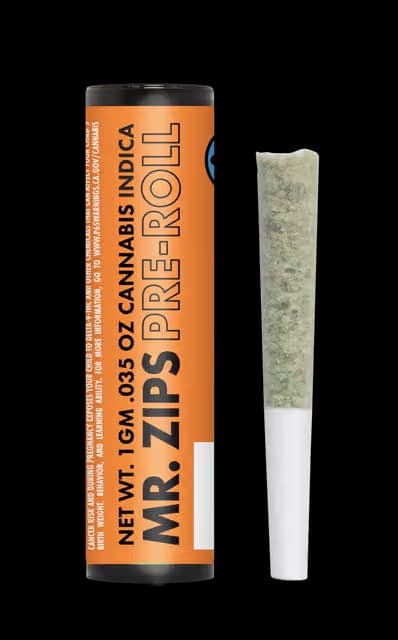 Mr. Zips Sunshine Punch | 1g Pre-Roll