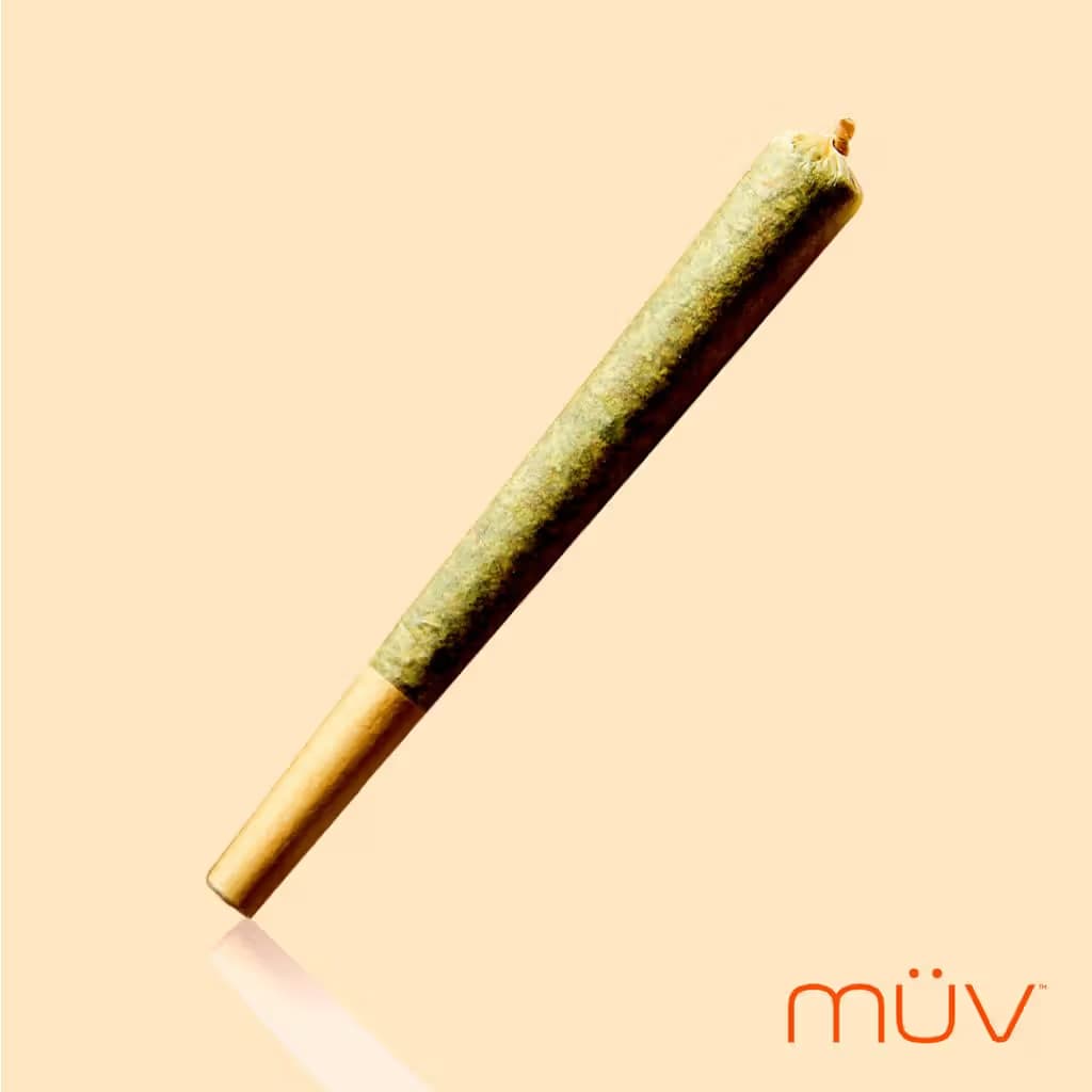 MÜV Pre-rolls