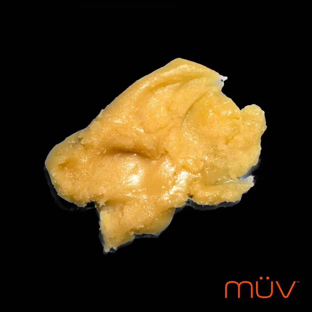 MÜV GMO Jungle Cake Badder